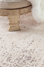 Load image into Gallery viewer, Nuloom Rugs - Distressed Hannelore Medallions - Beige
